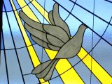 Dove detail